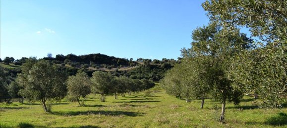 15000m² Hotel in Chalkidiki, Greece No. 7372 3