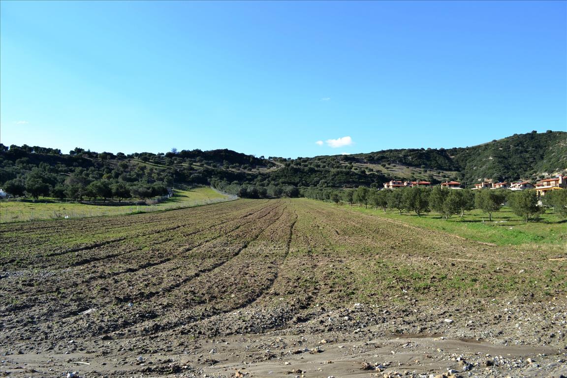 15000m² Hotel in Chalkidiki, Greece No. 7372