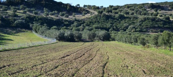 15000m² Hotel in Chalkidiki, Greece No. 7372 2