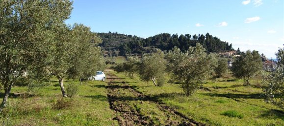 15000m² Hotel in Chalkidiki, Greece No. 7372 4