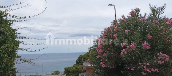 Studio in Laigueglia, Italy No. 125732 8