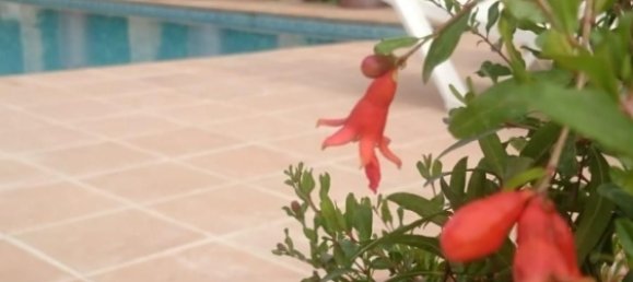 6 Schlafzimmer Haus in Granada, Spain, Nr. 166466 52