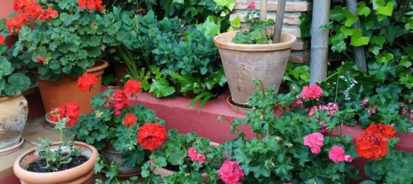 6 Schlafzimmer Haus in Granada, Spain, Nr. 166466 54