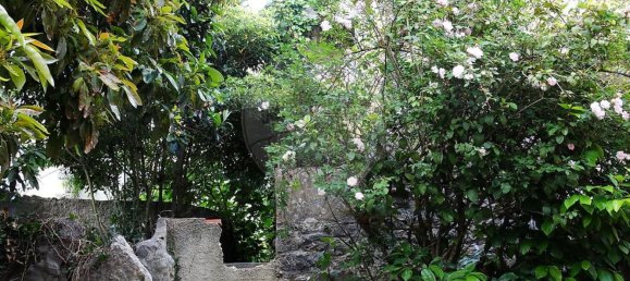 4 bedrooms House in Sintra, Portugal No. 53291 7