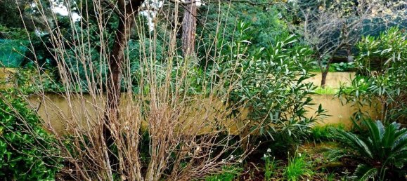 Casa T3 em Barcelona, Spain N.º 152826 11