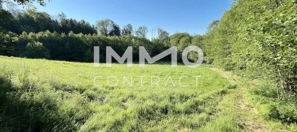 Land in Ardagger, Austria No. 52231 3