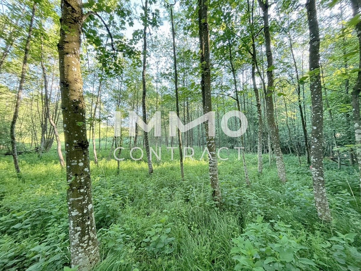  Land in Ardagger, Austria No. 52231