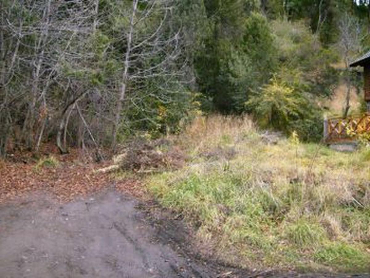  Land in Neuquen, Argentina No. 46347