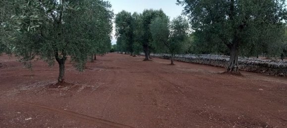 2غرفة منزل في Ceglie Messapica, Italy رقم 86008 19