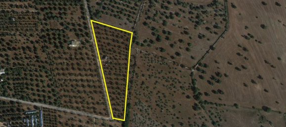 2غرفة منزل في Ceglie Messapica, Italy رقم 86008 2