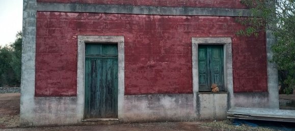 2غرفة منزل في Ceglie Messapica, Italy رقم 86008 3