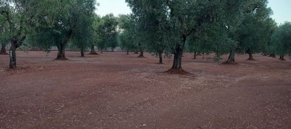 2غرفة منزل في Ceglie Messapica, Italy رقم 86008 13