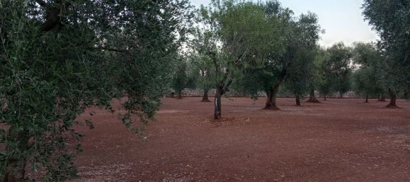 2غرفة منزل في Ceglie Messapica, Italy رقم 86008 14