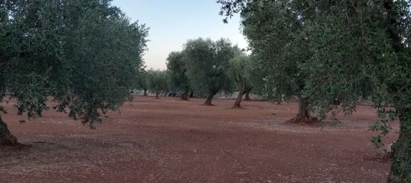 2غرفة منزل في Ceglie Messapica, Italy رقم 86008 15