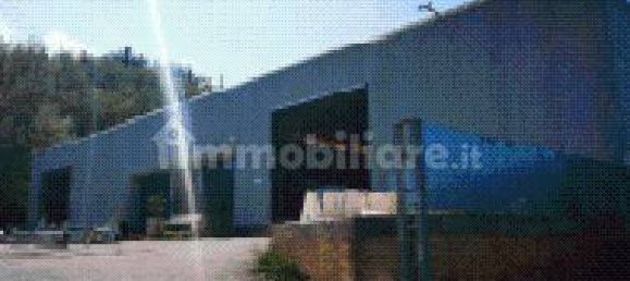 5 rooms Warehouse in Montespertoli, Italy No. 272268 2
