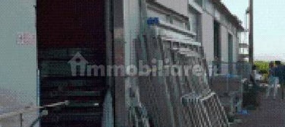 5 rooms Warehouse in Montespertoli, Italy No. 272268 5