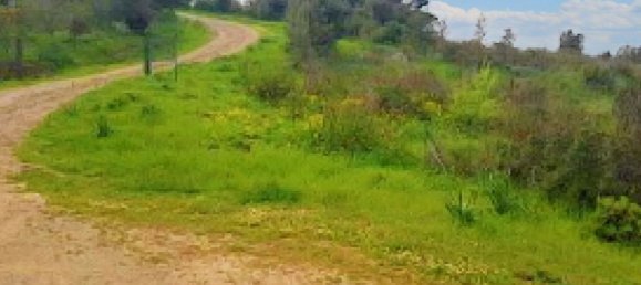 Terrain à Aglientu, Italy No. 371998 6