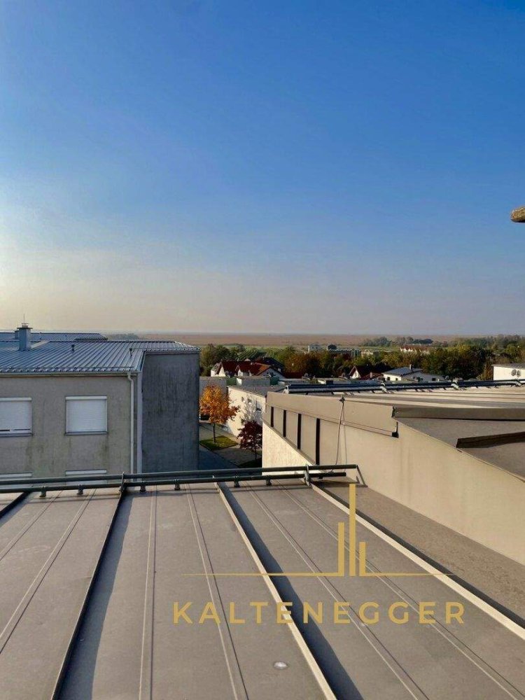 3-Zimmer Doppelhaus in Neusiedl am See, Austria, Nr. 152985