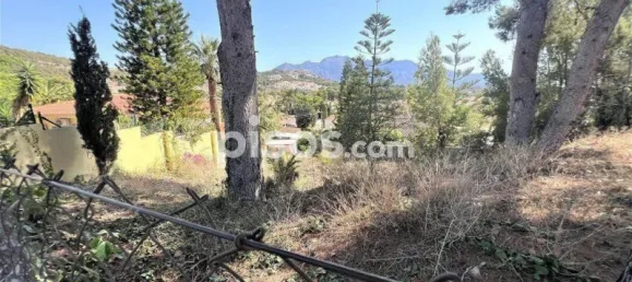 Terrain à Alicante, Spain 823m² No. 135779 4