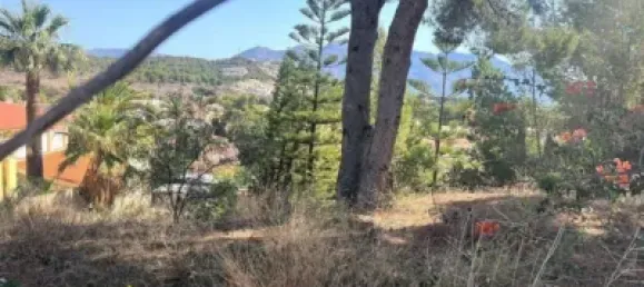 Terrain à Alicante, Spain 823m² No. 135779 6