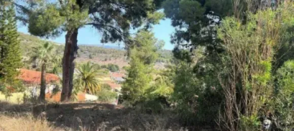 Terrain à Alicante, Spain 823m² No. 135779 2