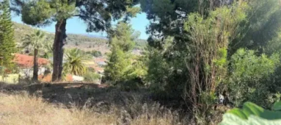 Terrain à Alicante, Spain 823m² No. 135779 5