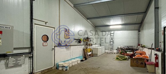 3 غرف نوم منزل في Abrantes, Portugal رقم 82164 46