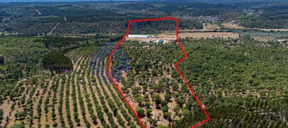 3 غرف نوم منزل في Abrantes, Portugal رقم 82164 42