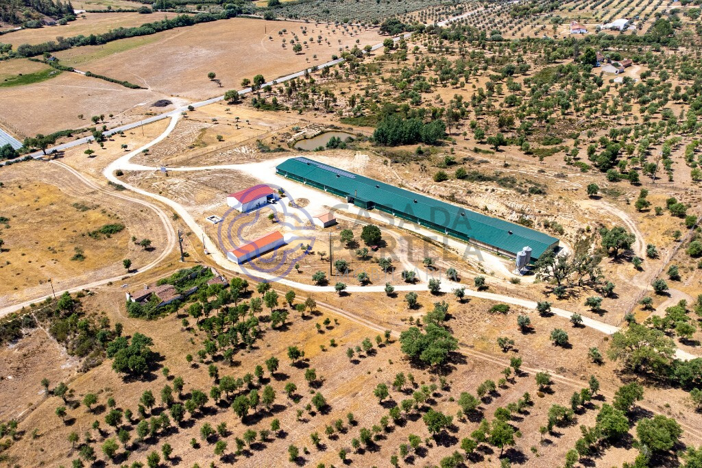 3 غرف نوم منزل في Abrantes, Portugal رقم 82164