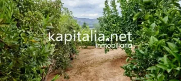 4 غرف نوم منزل في Ontinyent, Spain رقم 133720 23