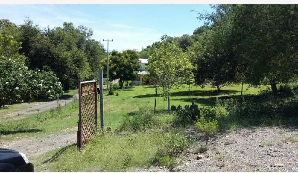 Estúdio em Nuevo Leon, Mexico N.º 178796