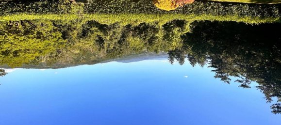 17 rooms Villa in Arezzo, Italy No. 71565 11