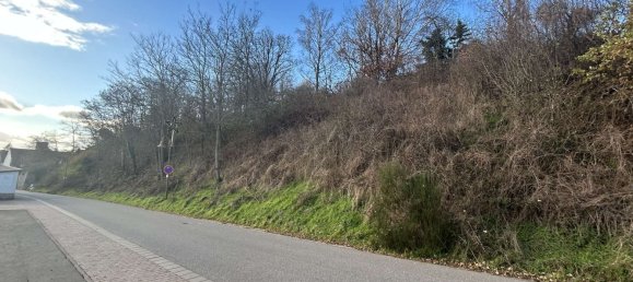  Land in Donnersbergkreis, Germany No. 26728 5