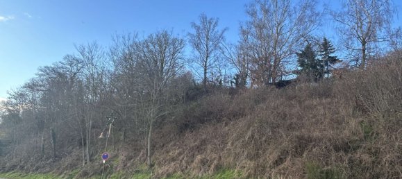  Land in Donnersbergkreis, Germany No. 26728 6