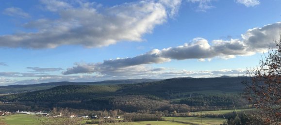  Land in Donnersbergkreis, Germany No. 26728 7