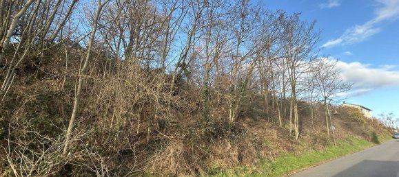  Land in Donnersbergkreis, Germany No. 26728 3