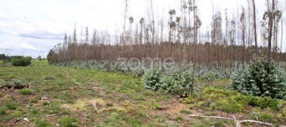 قطعة أرض في Albergaria a Velha, Portugal رقم 69218 13