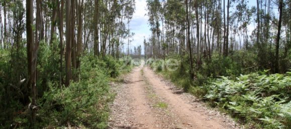 قطعة أرض في Albergaria a Velha, Portugal رقم 69218 5