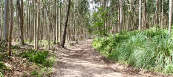 قطعة أرض في Albergaria a Velha, Portugal رقم 69218 11