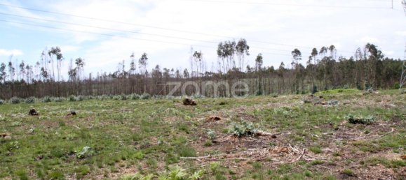 قطعة أرض في Albergaria a Velha, Portugal رقم 69218 16