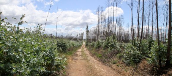 قطعة أرض في Albergaria a Velha, Portugal رقم 69218 17