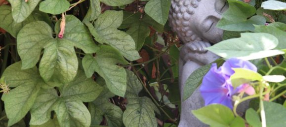  منزل في Calpe, Spain 480متر مربع رقم 785 8