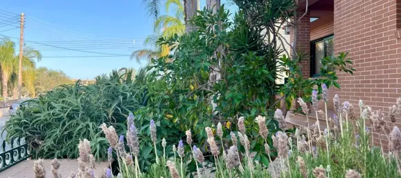 5 bedrooms Villa in Kato Polemidia, Cyprus No. 5089 11