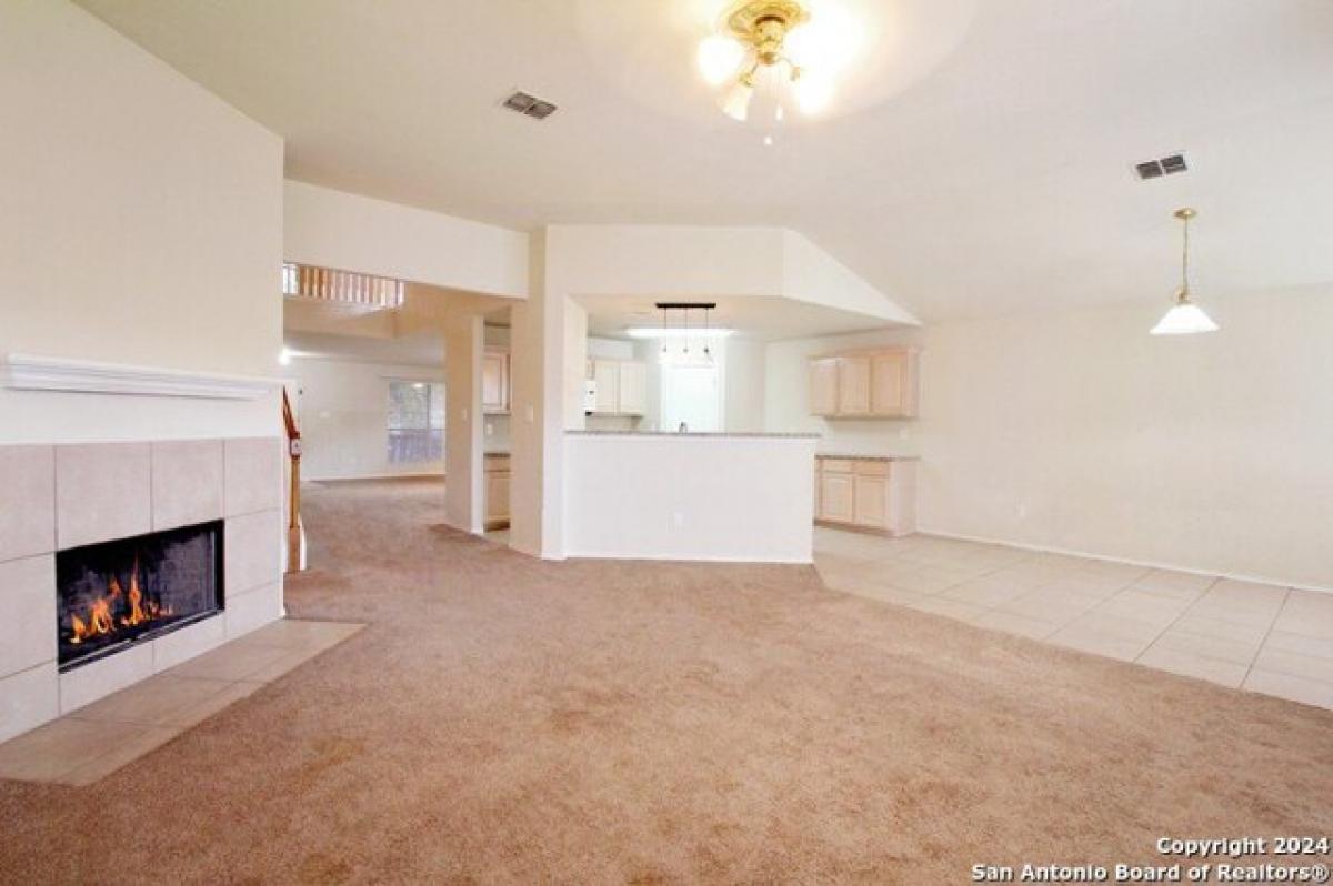 4 bedrooms House in San Antonio, USA No. 433631