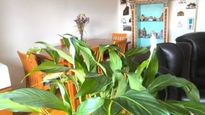 2 Schlafzimmer Wohnung in Logrono, Spain, Nr. 240372