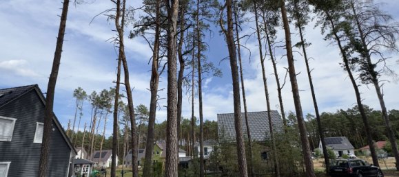 Terreno em Potsdam-Mittelmark, Germany N.º 239419 2