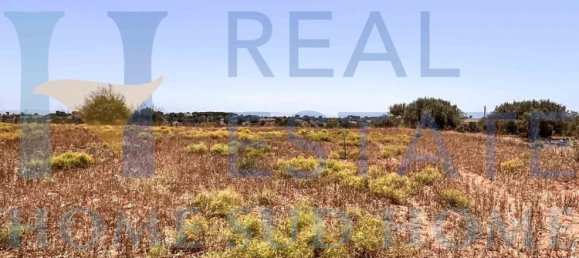 100000m² Land in Caltagirone, Italy No. 133137 6