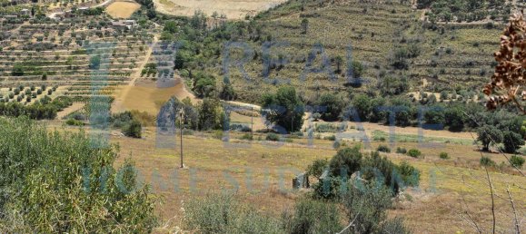 100000m² Land in Caltagirone, Italy No. 133137 14