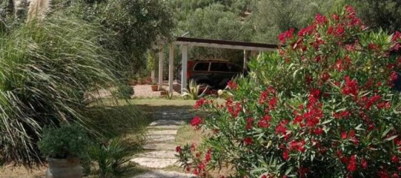 10 rooms Villa in Castiglione della Pescaia, Italy No. 17797 6
