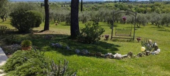 10 rooms Villa in Castiglione della Pescaia, Italy No. 17797 12